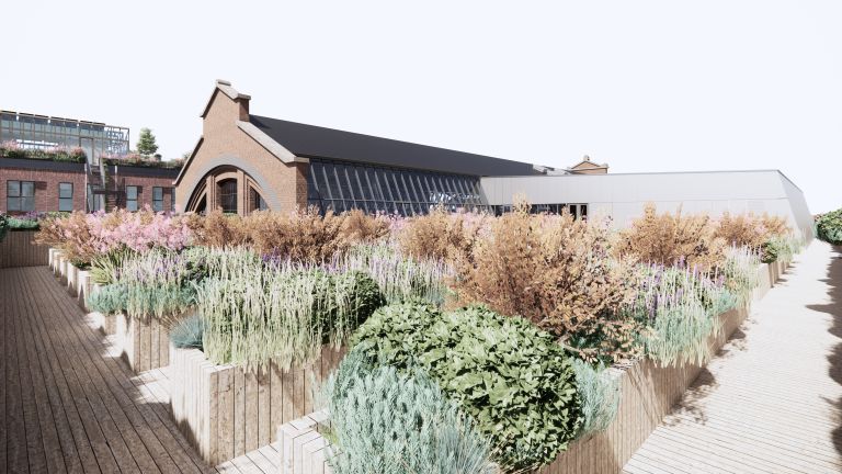 Situation projetée de la toiture verte de la petite halle